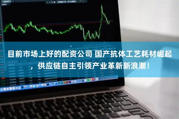 目前市场上好的配资公司 国产抗体工艺耗材崛起，供应链自主引领产业革新新浪潮！