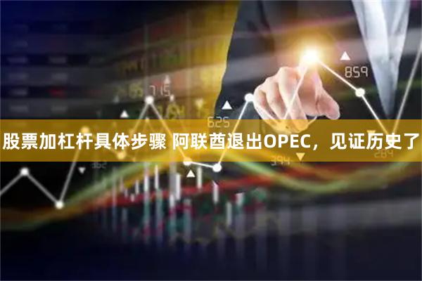 股票加杠杆具体步骤 阿联酋退出OPEC，见证历史了